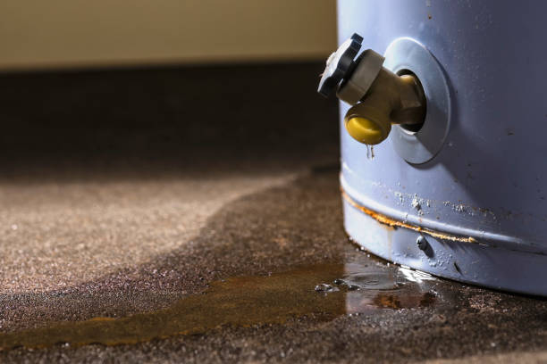 Best Flood restoration services  in Sandusky, MI