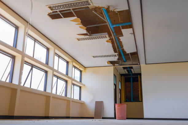 Best Sewage cleanup and water damage restoration  in Sandusky, MI