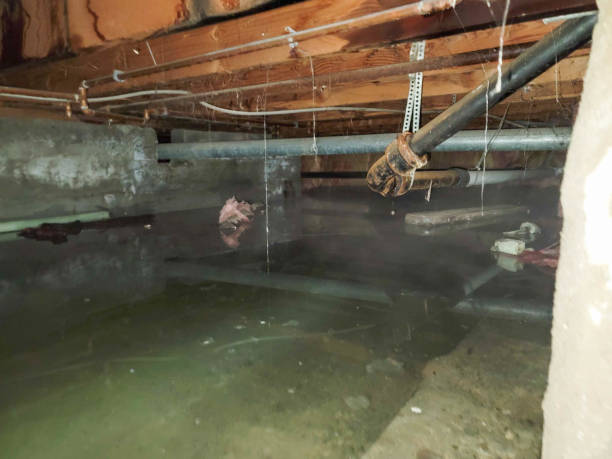 Best Ceiling water damage repair  in Sandusky, MI