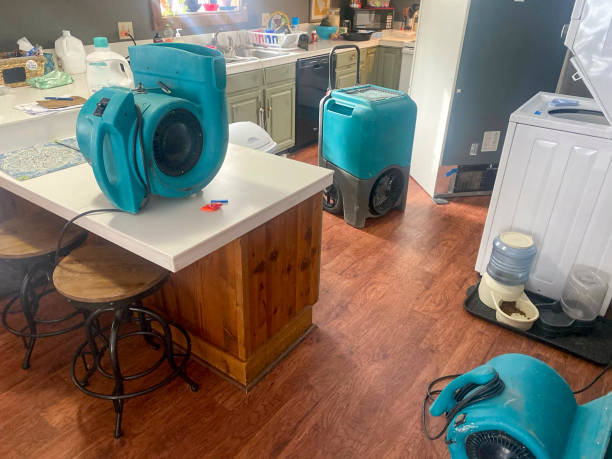 Best Emergency water damage restoration  in Sandusky, MI