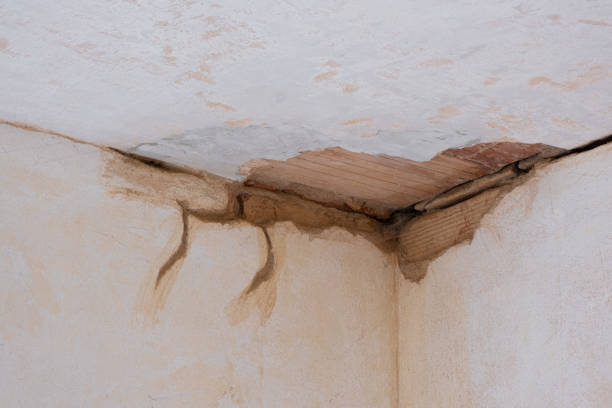 Best Residential water damage restoration  in Sandusky, MI