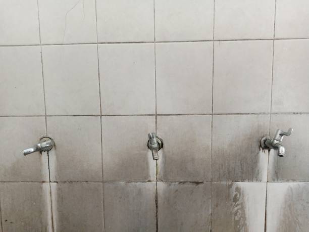 Best Water damage contractors near me  in Sandusky, MI