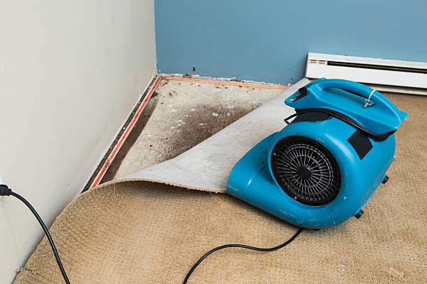 Reliable Sandusky, MI Water damage restoration Solutions